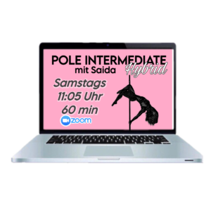 HYBRID Pole Intermediate (Level 2) mit Saida