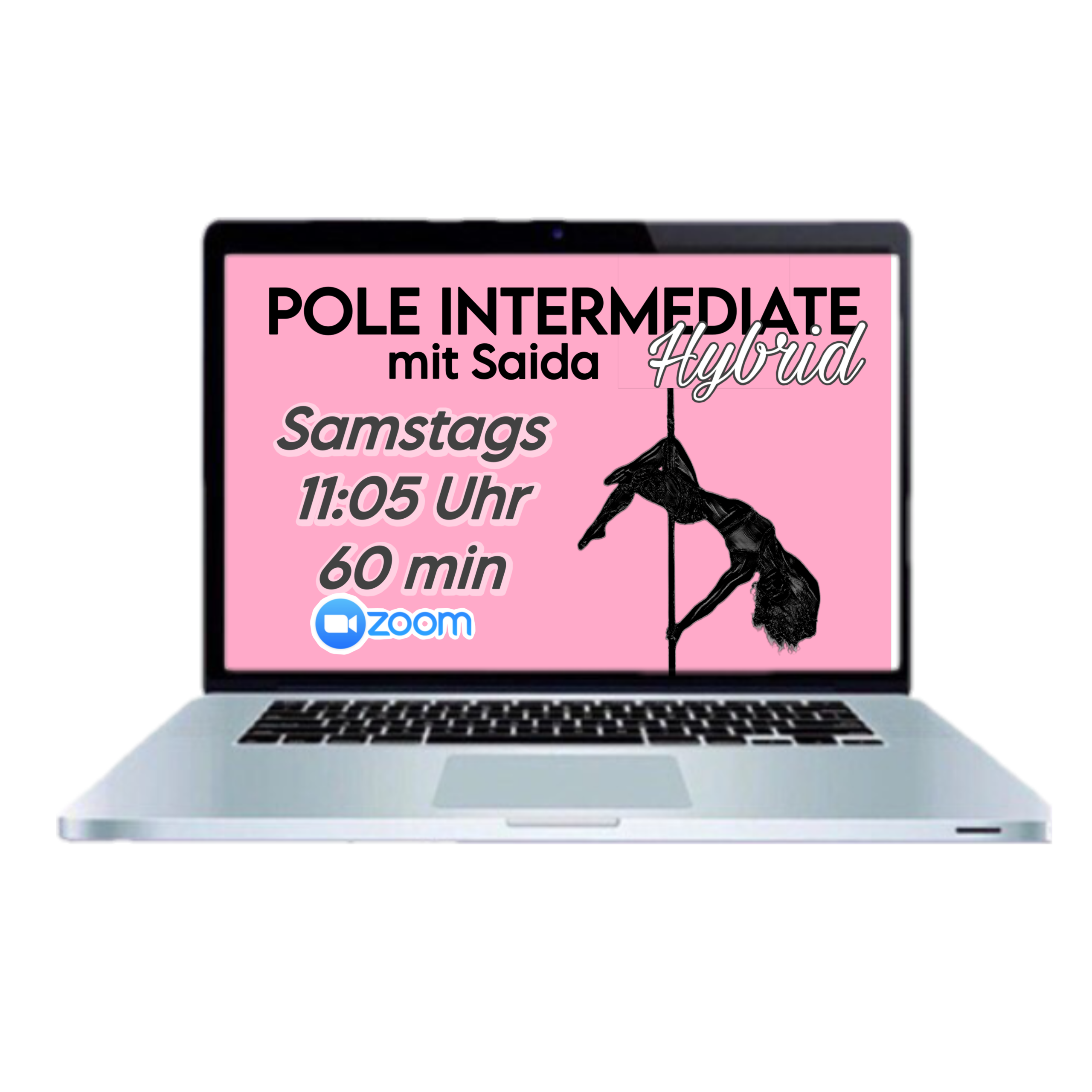 HYBRID Pole Intermediate (Level 2) mit Saida